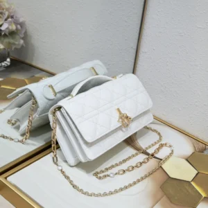 Christian Dior AAA Quality Messenger Bags For Women Durable 7290