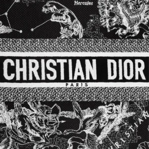 Trendy 3397 Dior Book Tote In Toile de Jouy Zodiac Motif Canvas Black